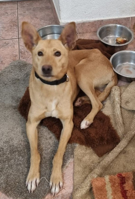 Ella sucht IHRE Familie