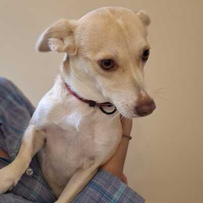 Emelia  - freundlich & unfassbar liebevoll 💕