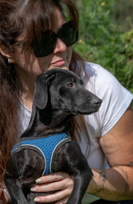 Emilia – ein liebenswerter Teenager, Mischling - Hündin