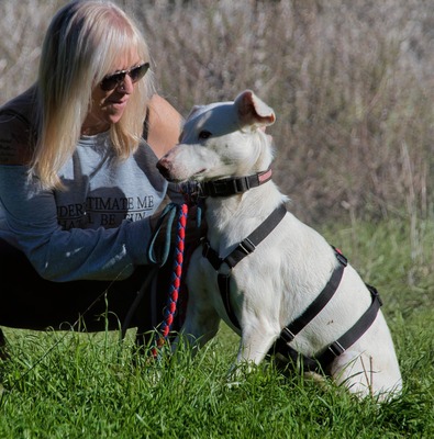 Emma – ein sensibles Hundemädchen, Mischling - Hündin