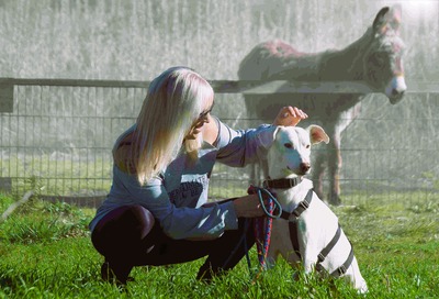 Emma – ein sensibles Hundemädchen, Mischling - Hündin