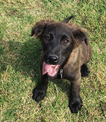Erik
