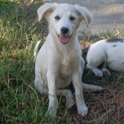 Erina -  aufgeschlossen, freundlich und sehr sozial