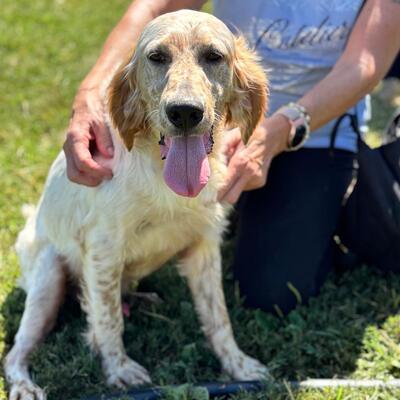 Ermis - unwahrscheinlich liebevoll 💖