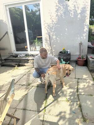 Eros sucht seine zweite Chance, Labrador - Rüde