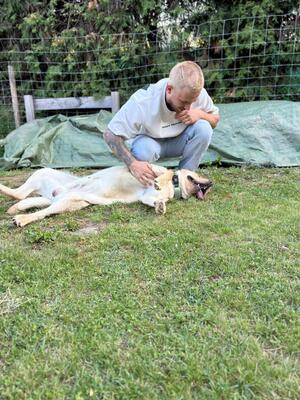 Eros sucht seine zweite Chance, Labrador - Rüde