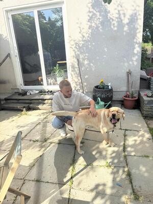 Eros sucht seine zweite Chance, Labrador - Rüde