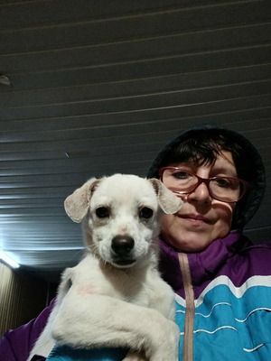 Eva, eine kleine Hundeseele auf dem Weg ins Vertrauen, Herzenshund - Hündin