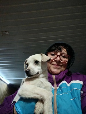 Eva, eine kleine Hundeseele auf dem Weg ins Vertrauen, Herzenshund - Hündin