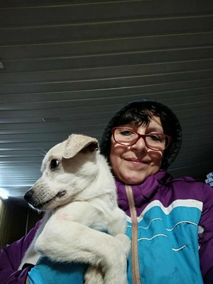 Eva, eine kleine Hundeseele auf dem Weg ins Vertrauen, Mischling - Hündin