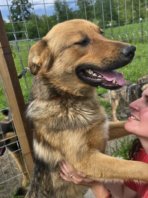 Felix wartet seit einem Jahr auf sein Zuhause