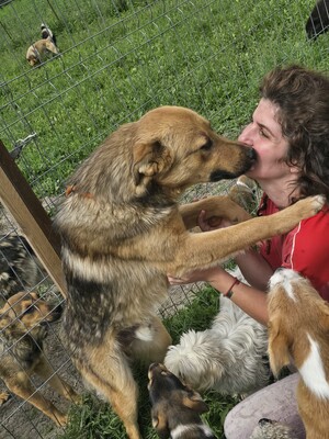 Felix wartet seit einem Jahr auf sein Zuhause, Mischling - Rüde