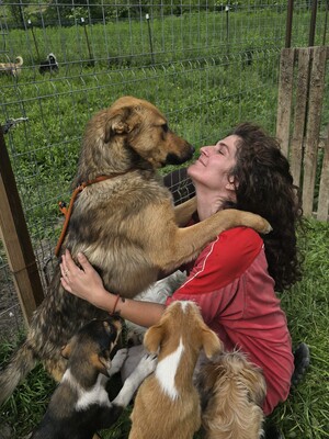 Felix wartet seit einem Jahr auf sein Zuhause, Mischling - Rüde