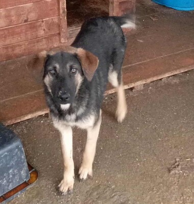 Finja – eine sanfte Schönheit sucht ihr Glück