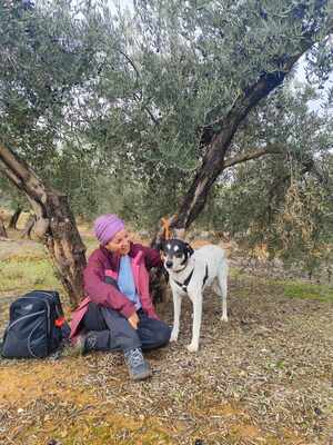 Finn, Mischling - Rüde