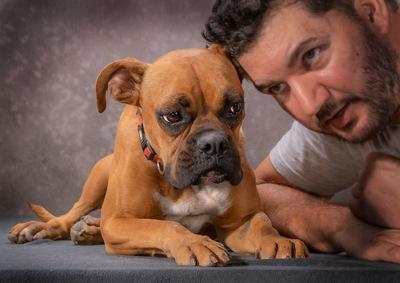 Fiona - eine Knutschkugel, Boxer - Hündin