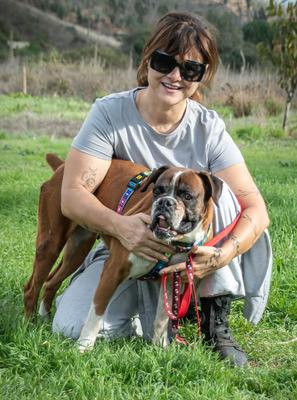 Fiona - eine nette Boxerdame, Boxer - Hündin