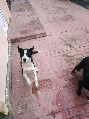 Florian – ein stiller Kämpfer sucht sein Glück