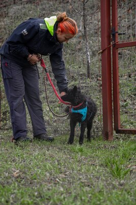 ⚡️ Foxy – der schwarze Wirbelwind mit Herz und Humor 🐶, Mischling - Rüde