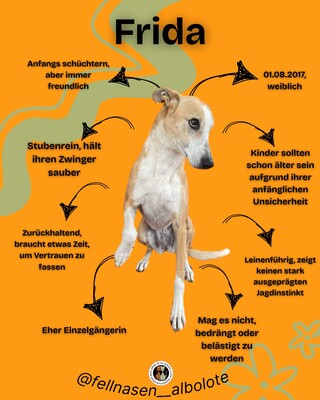 Frida, Mischling - Hündin