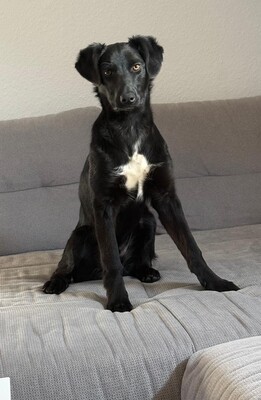 Frieda
