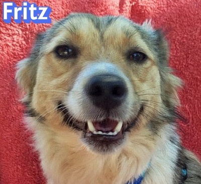 Fritz