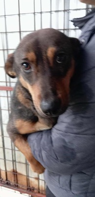 Fusilli – ein sanfter Blick, direkt ins Herz