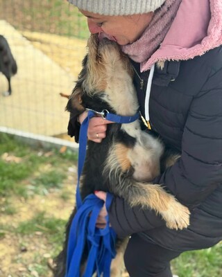 💜💜💜GUBANC sucht ein Zuhause! 💜💜💜, Mischling - Hündin