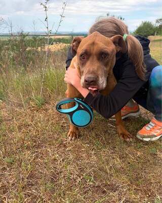 💙😍💙GYÖNYÖR sucht ein Wunder💙😍💙, Mischling - Hündin