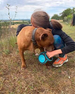 💙😍💙GYÖNYÖR sucht ein Wunder💙😍💙, Mischling - Hündin