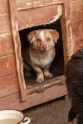 Gerti, kleine Entdeckerin sucht ihr Glück
