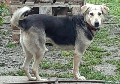 Gianna - NOTFALL Österreich