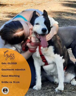 Guss