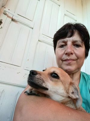 🌻 Happy – ein kleiner Kämpfer auf der Suche nach Geborgenheit 🌻, Mischling - Rüde