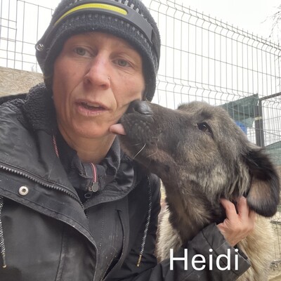 Heidi, geb. 2018, Herdenschutz-Mix-Dame sucht liebevolles Zuhause, HSH-Mischling - Hündin