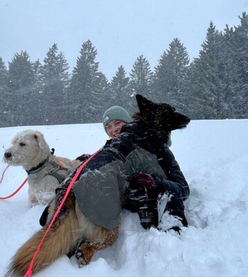 Hella, Deutscher Schäferhund - Hündin