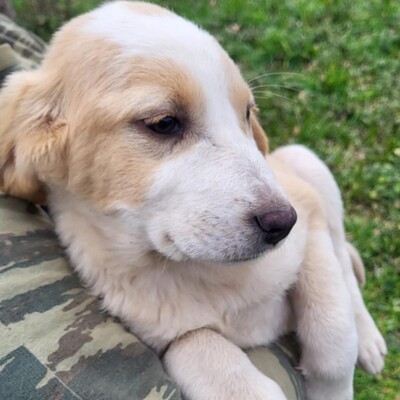 Hilda - hat eine sanfte  Art 😘/ Vorgemerkt