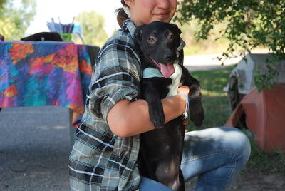 Hildegard - Aufgewecktes Hundemädchen, ca. 4 Monate/37cm/7kg, Mischling Welpen - Hündin