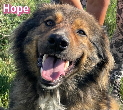 Hope