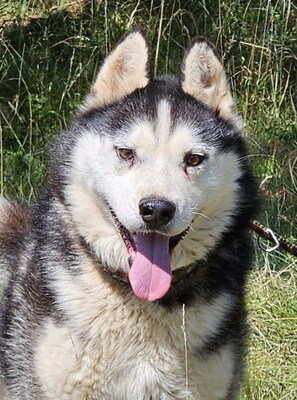 Hustler freut sich auf aktive Menschen