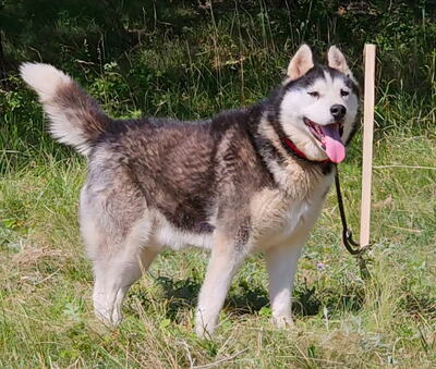 Hustler freut sich auf aktive Menschen