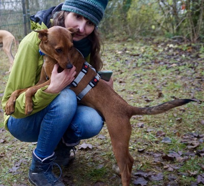 Ilia Topuria, Mix - Rüde