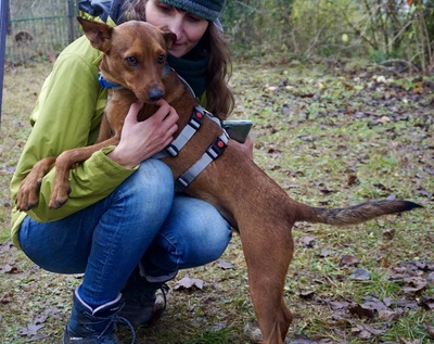 Ilia Topuria, Mix - Rüde