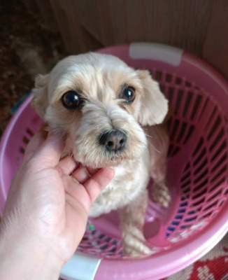 Ira möchte einfach nur geliebt werden