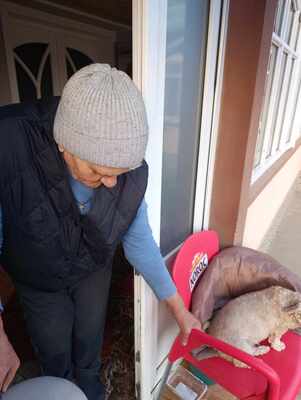 Ira möchte einfach nur geliebt werden, Yorkie - Mischling - Hündin