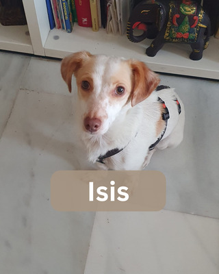 Isis