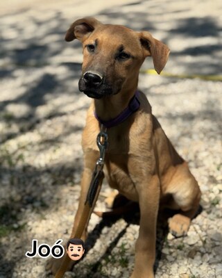 💜💜💜 JOO sucht ein Zuause💜💜💜