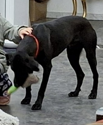 Jack - Rohdiamant sucht Feinschliff