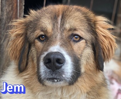 Jem