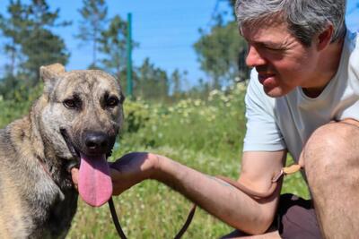 Jennifer - ein liebes Mädchen, Mischling - Hündin